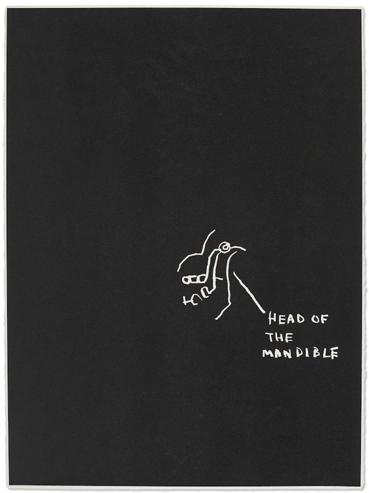 Head of the Mandible, from Anatomy by Jean-Michel Basquiat