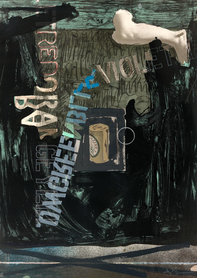 Decoy II by Jasper Johns