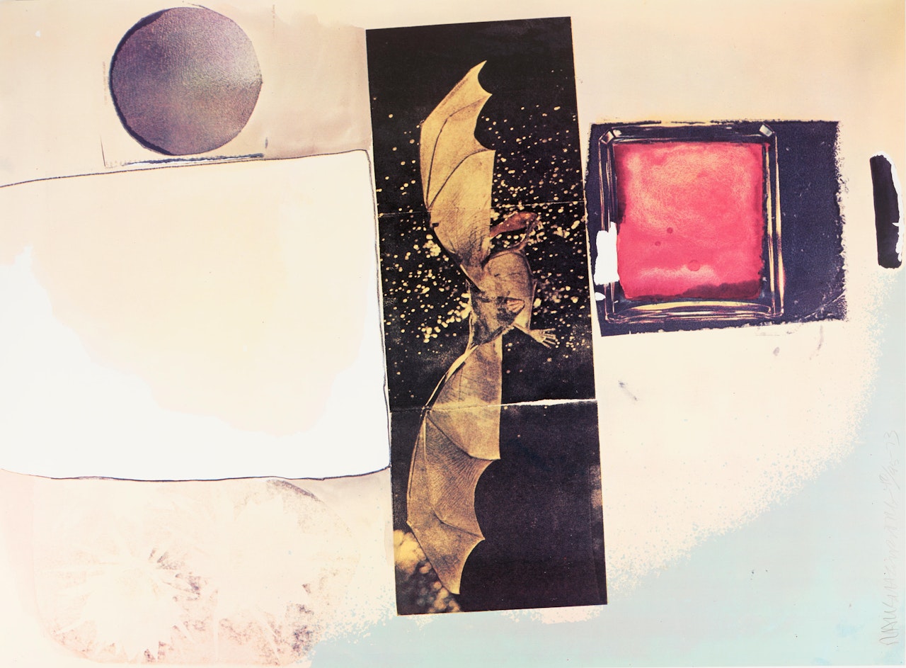 Rays by Robert Rauschenberg