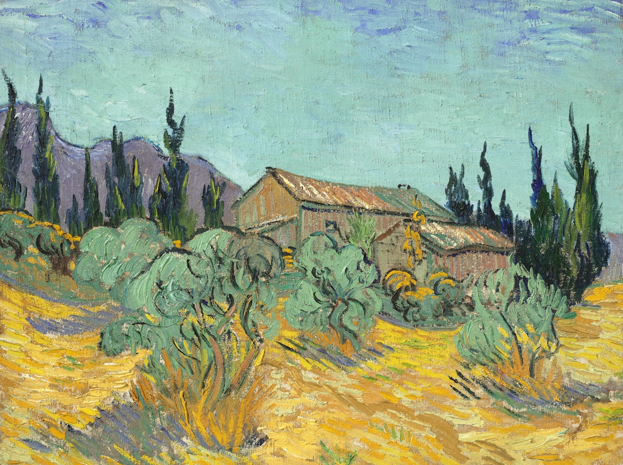 Cabanes de bois parmi les oliviers et cyprès by Vincent van Gogh