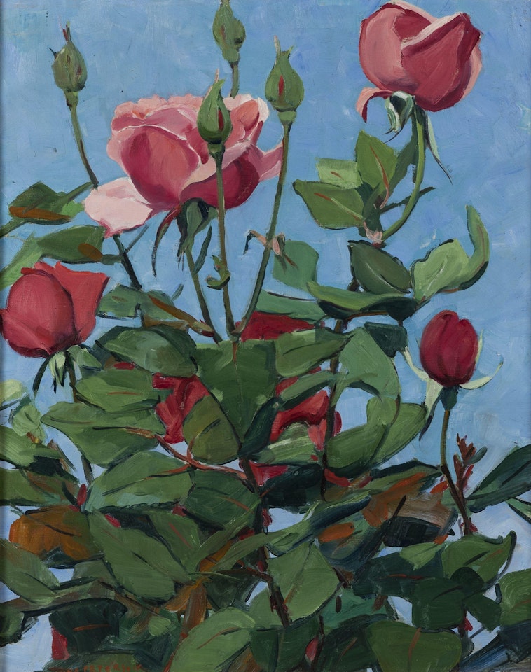 Roses by Jane Peterson