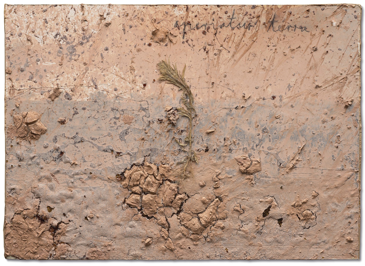 Aperiatur Terra by Anselm Kiefer
