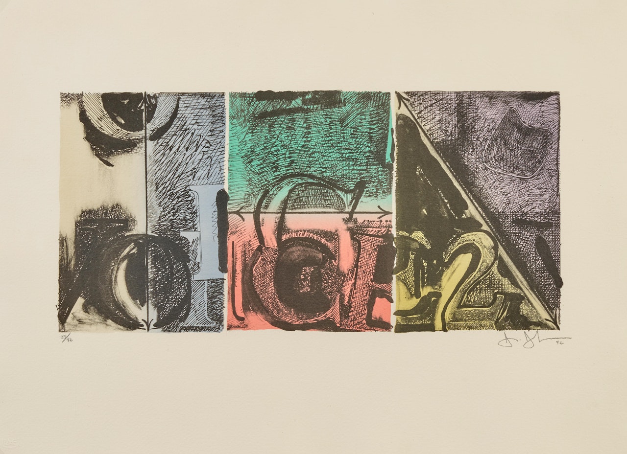 Voice 2 by Jasper Johns