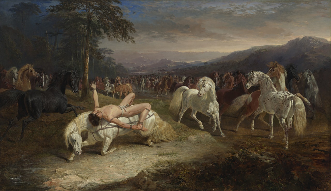 Mazeppa by John Frederick Herring