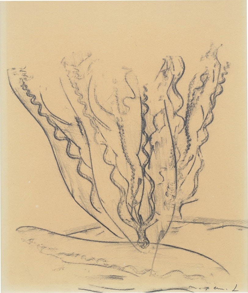 Entdeckungsfahrten ins Unbewußte by Max Ernst
