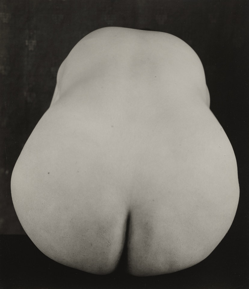Anita [nude back], 51N by Edward Weston