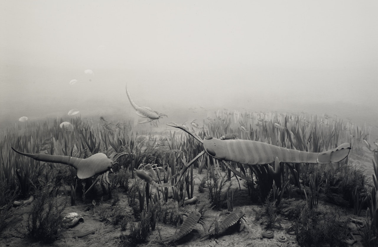 Silurian Period by Hiroshi Sugimoto