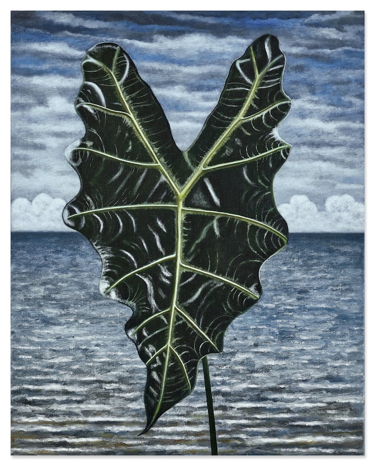 Alocasia Leaf  by Scott Kahn