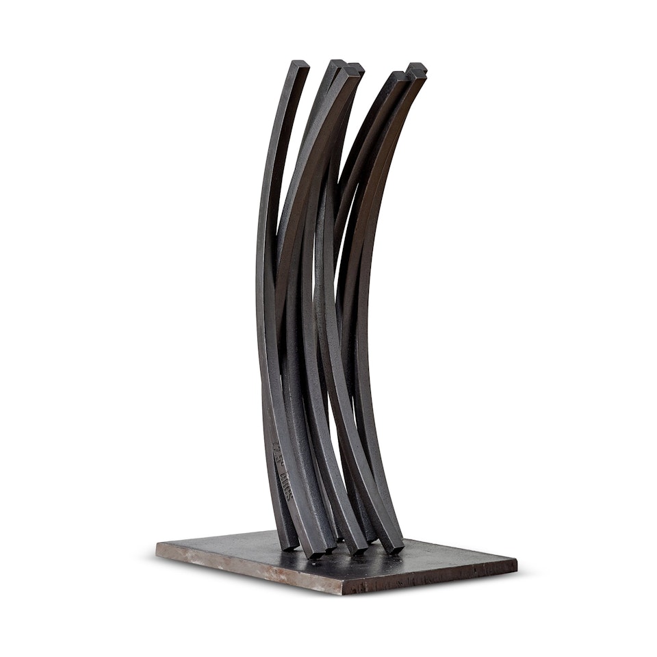 Arcs of 72.5° x 9  by Bernar Venet