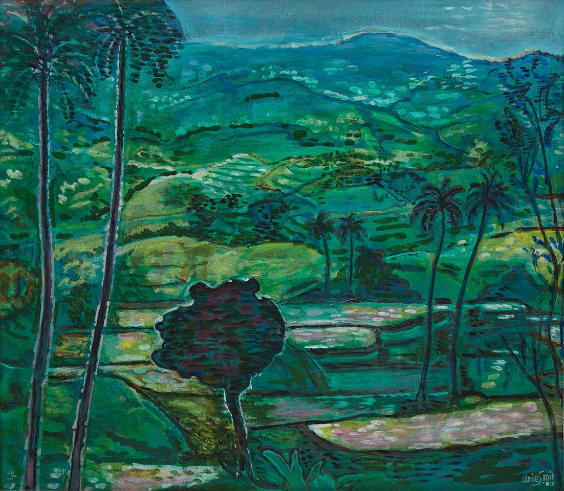 Mountainous landscape  by Arie Smit