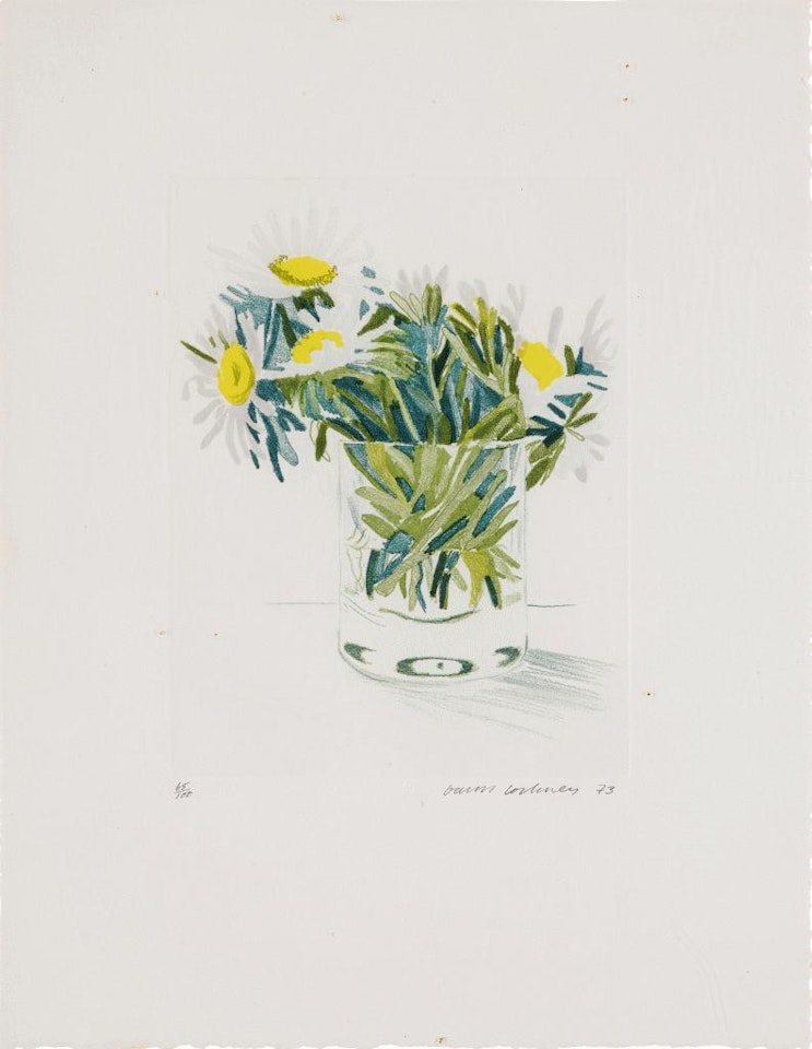 Marguerites by David Hockney