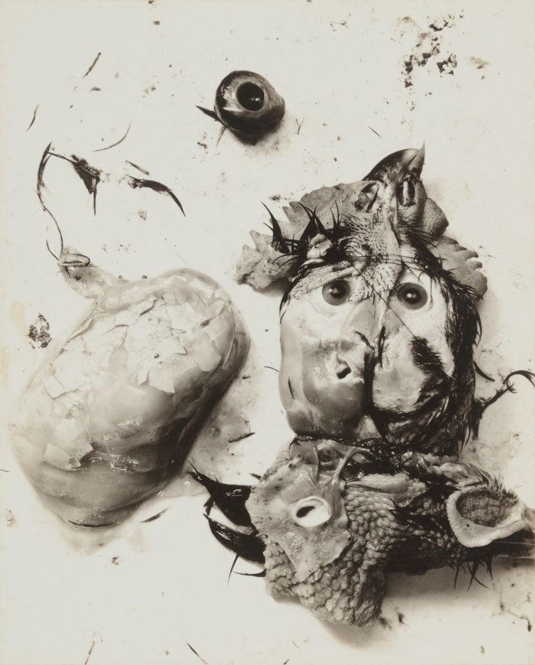 Negative #66 by Frederick Sommer