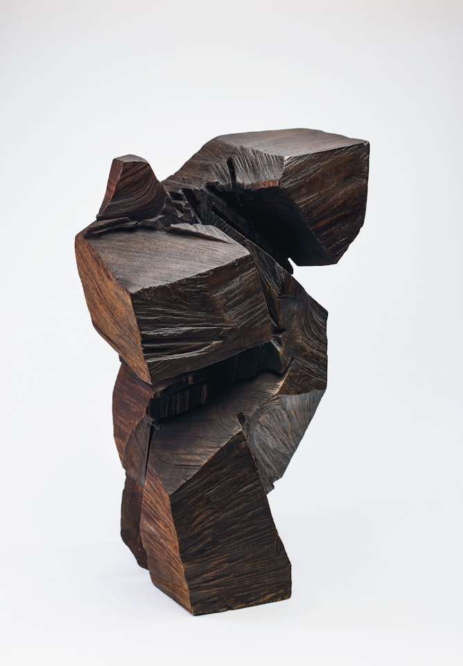 Taichi Series – Pushing Hands by Ju Ming