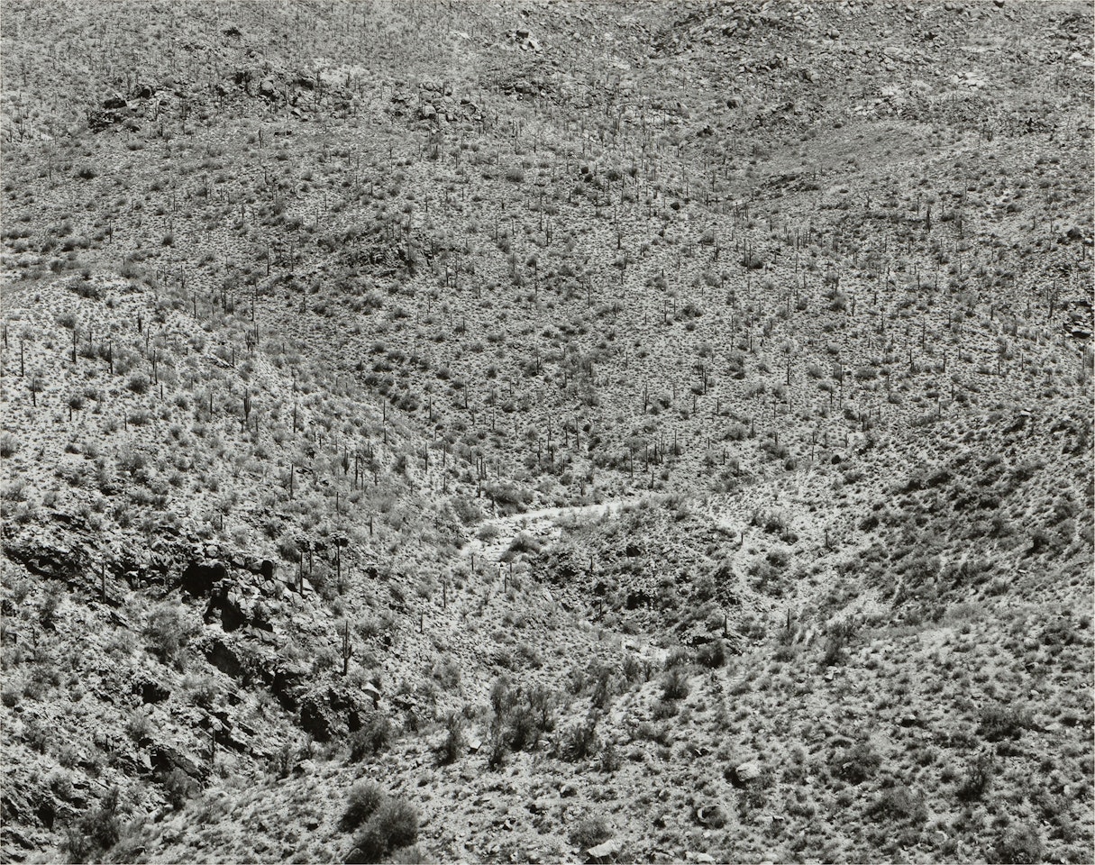 Arizona Landscape (Bagdad) by Frederick Sommer