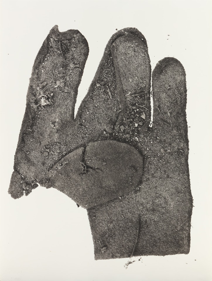 Flat Glove, New York by Irving Penn