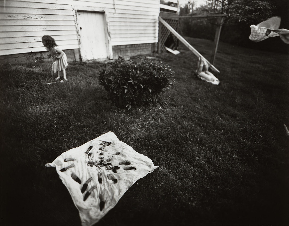 Drying Morels by Sally Mann