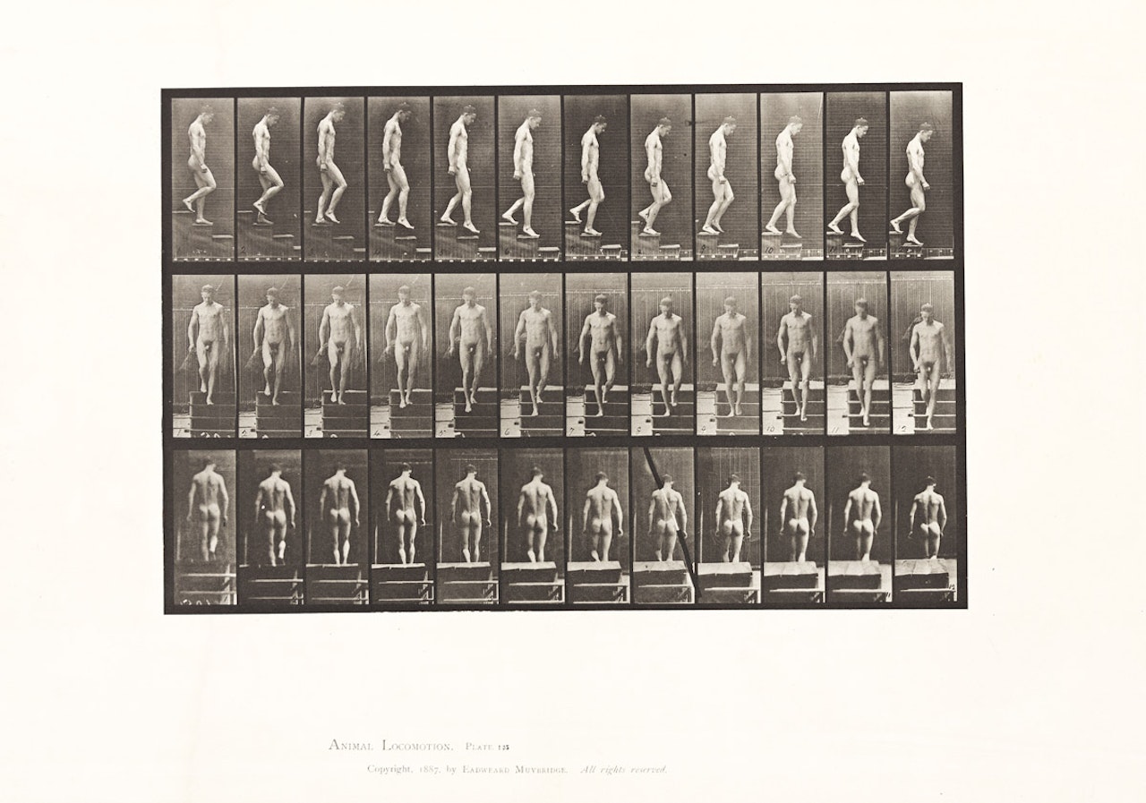 A selection of 5 plates from the pioneering motion study series Animal Locomotion by Eadweard Muybridge