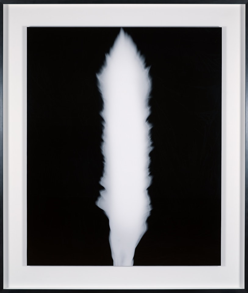 In Praise of Shadow, 980820 by Hiroshi Sugimoto
