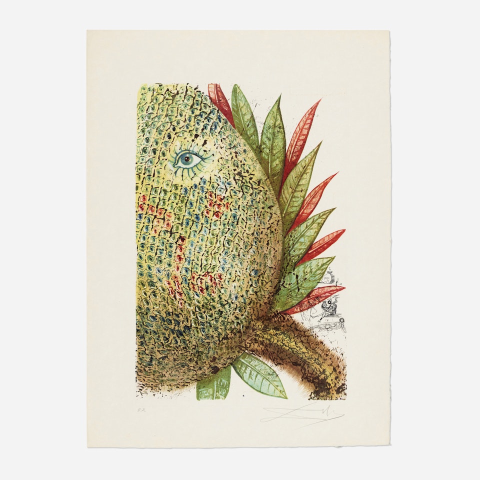 Ananas (from the Végetation inédit series) by Salvador Dali