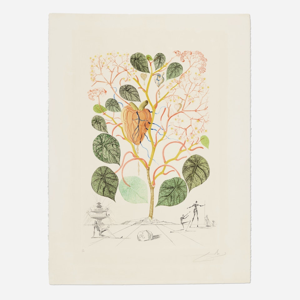 Anacardium recordans (Begonia Le Coeur) (from the Flordali series) by Salvador Dali