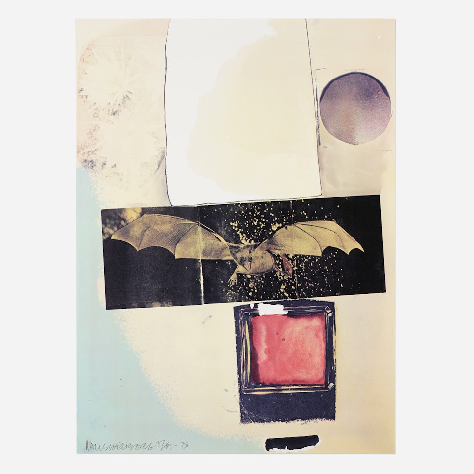 Rays by Robert Rauschenberg