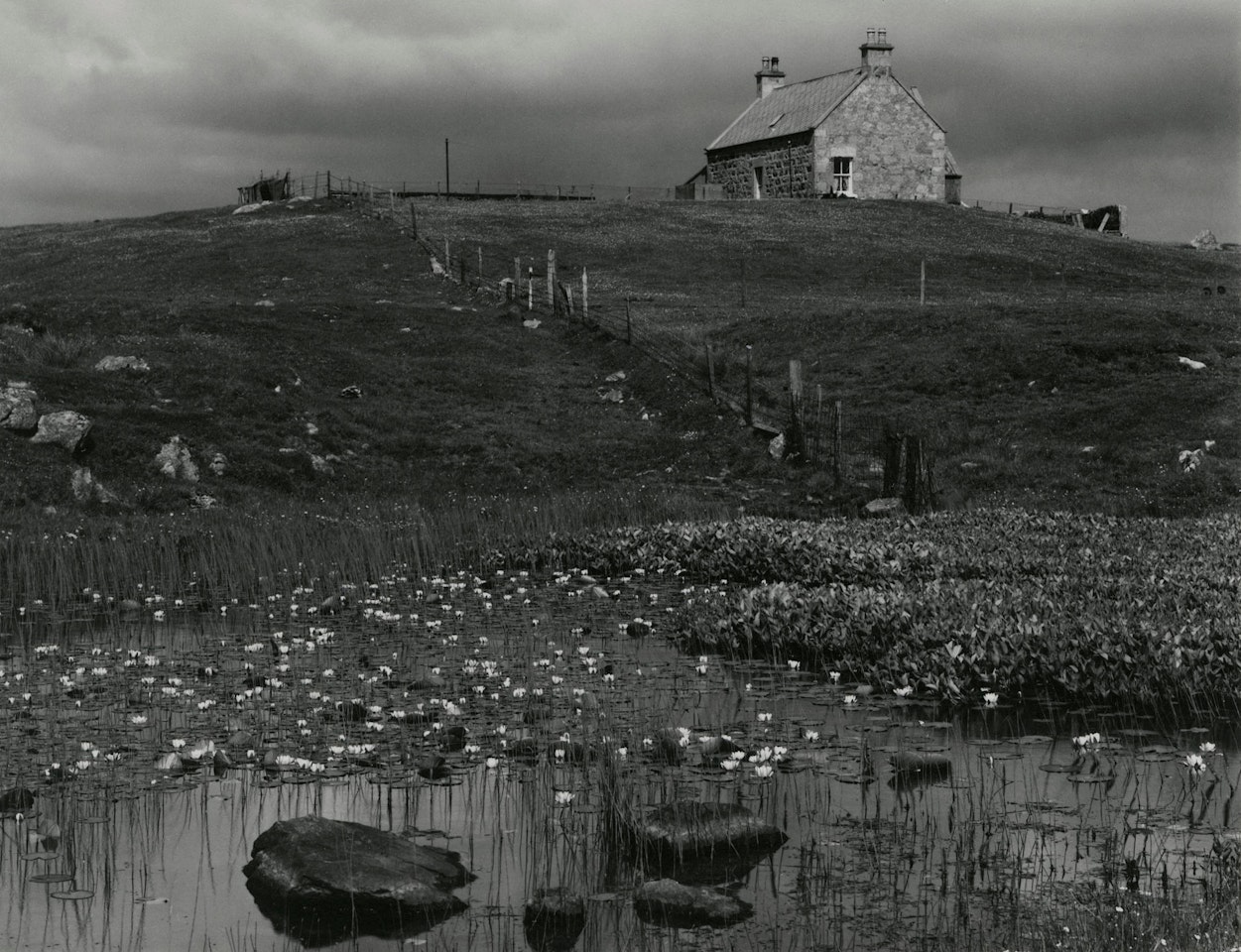 Lily Pond, South Uist, Hebrides by Paul Strand