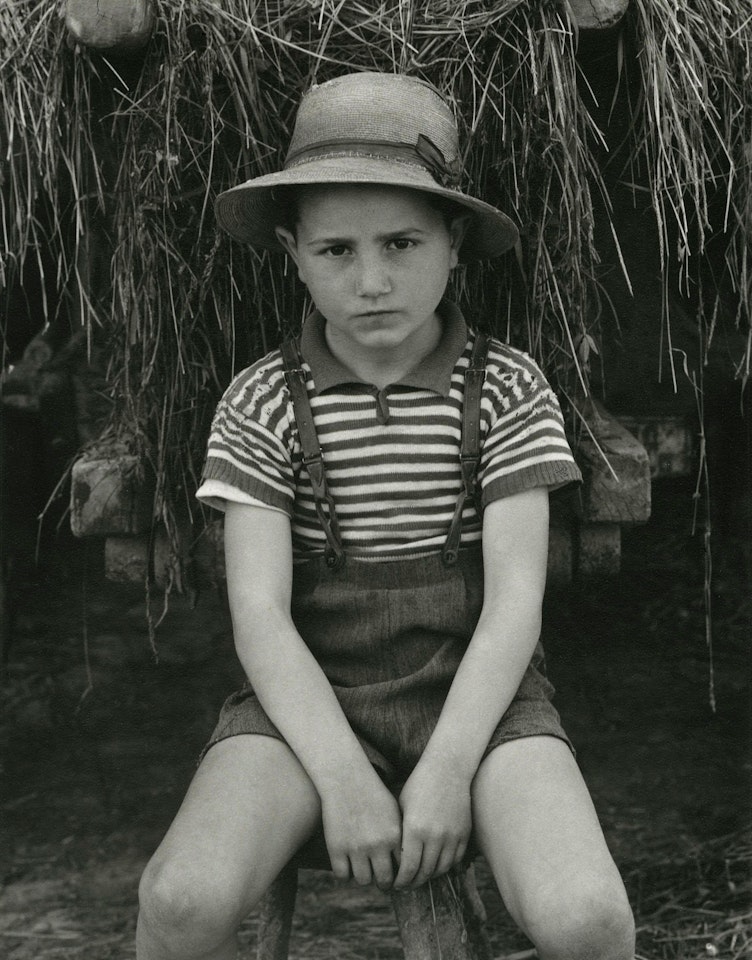 Boy, Luzzara, Italy by Paul Strand