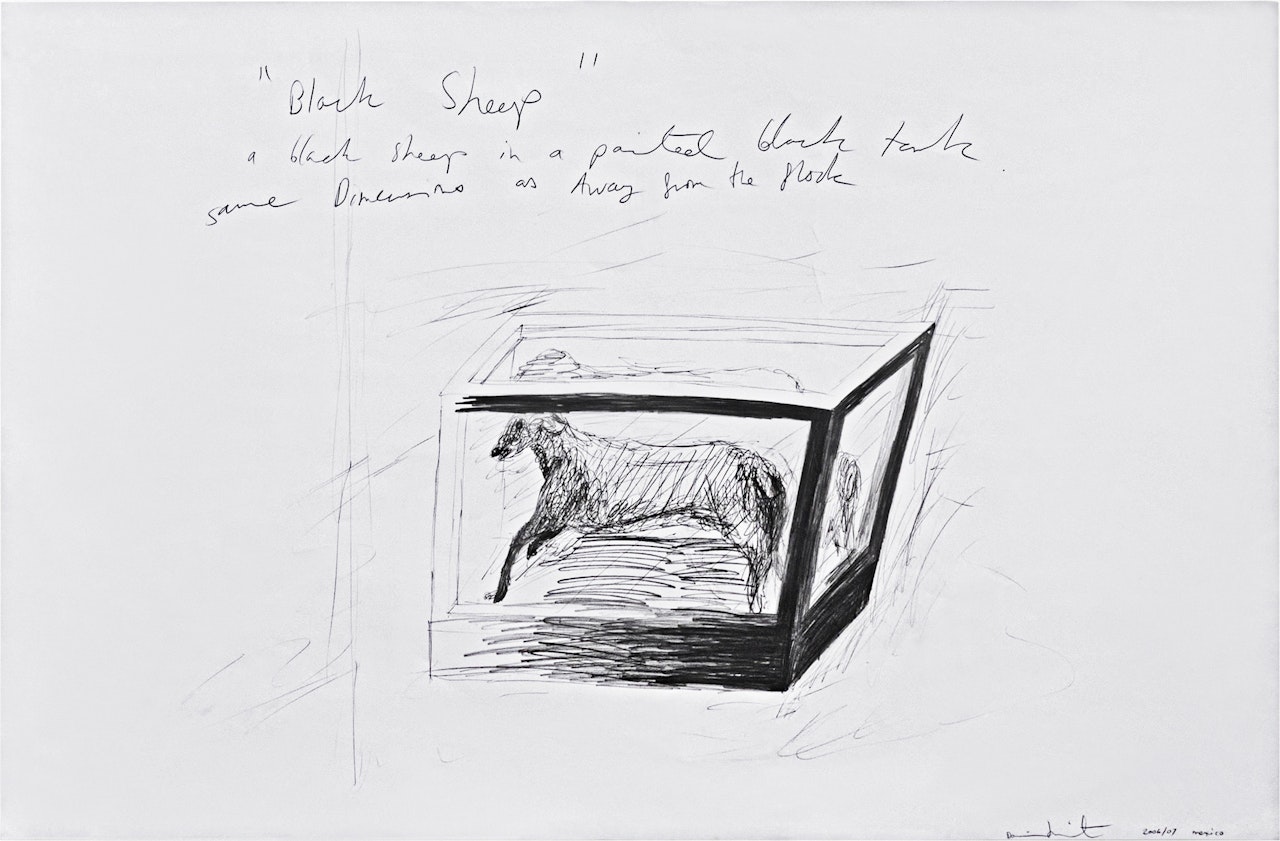Black Sheep in a Painted Black Tank by Damien Hirst