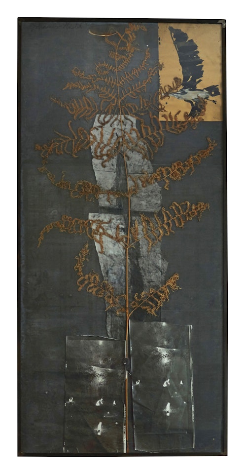 Johannisnacht by Anselm Kiefer