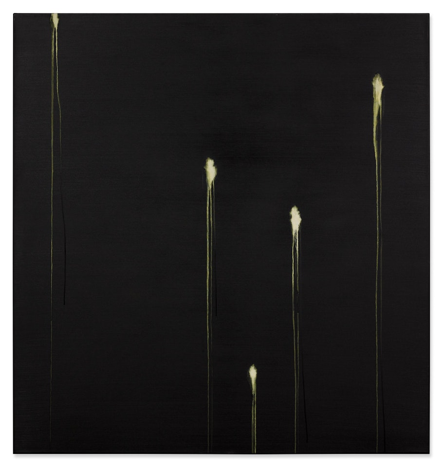 Five Identified Forms by Callum Innes