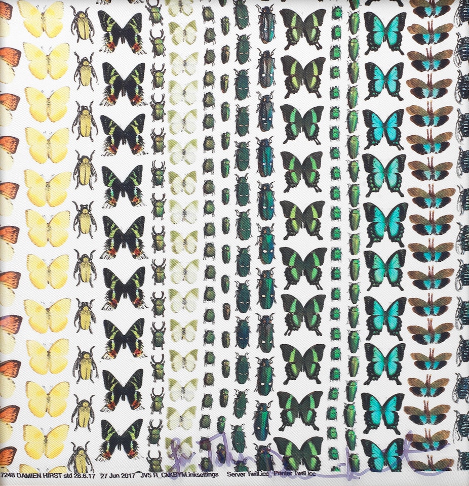 Butterflies and Beetle by Damien Hirst