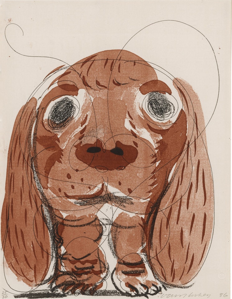 Stanley at 8 Weeks, October 1986 (Museum of Contemporary Art, Tokyo 319) by David Hockney