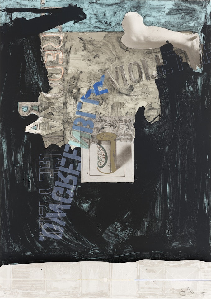 Decoy by Jasper Johns