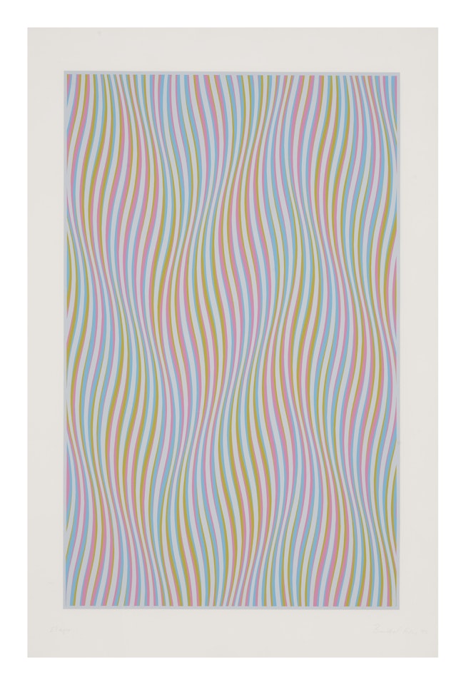 Elapse by Bridget Riley