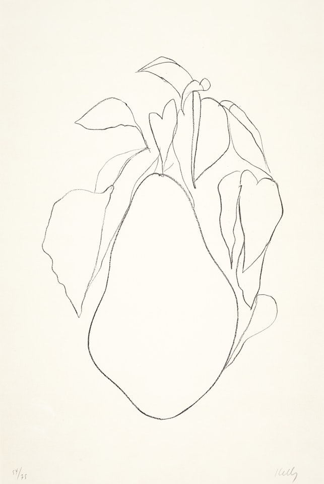 Pear II, from Suite of Plant Lithographs by Ellsworth Kelly