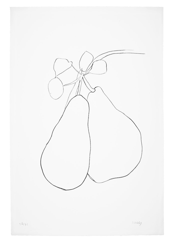 Pear I, from Suite of Plant Lithographs by Ellsworth Kelly