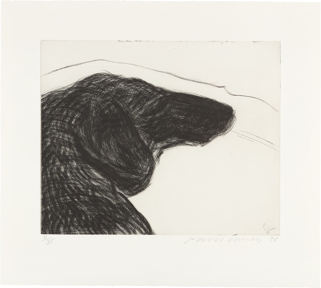 Dog Etching No. 6, from Dog Wall by David Hockney