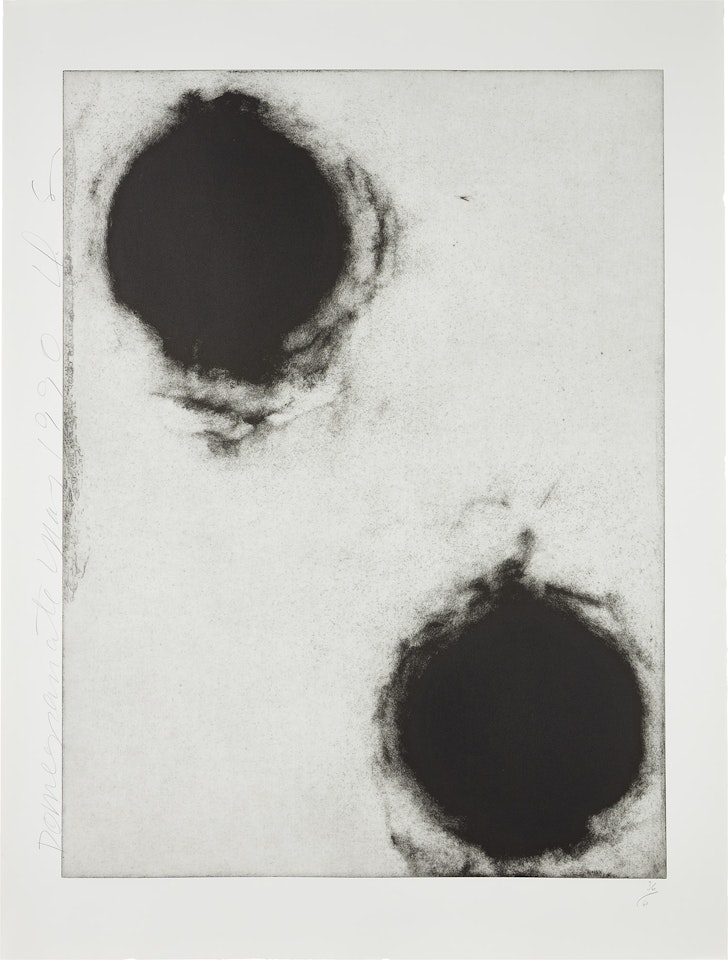 Pomegranates II, from Pomegranates by Donald Sultan