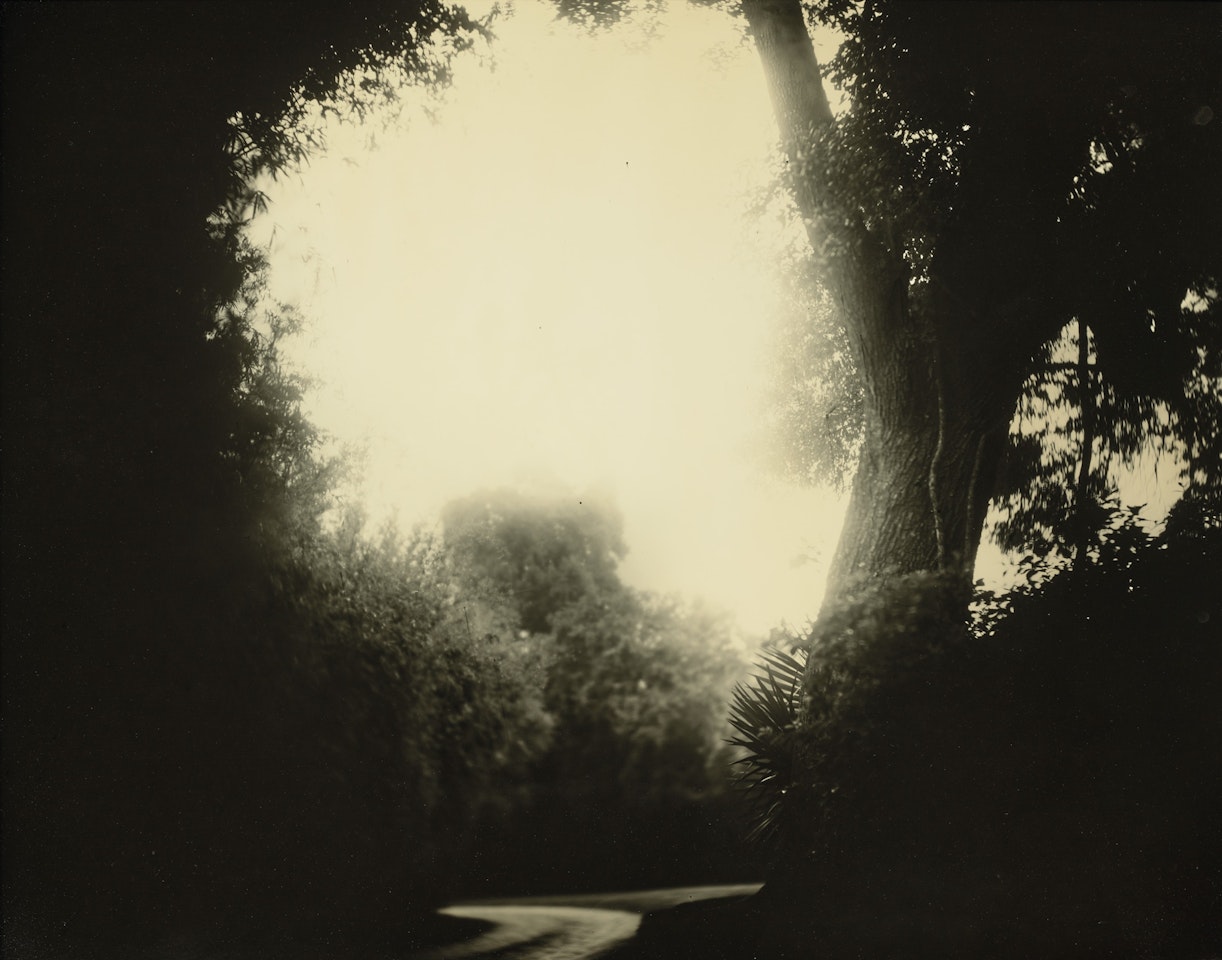 Untitled (Deep South #20), 1998 by Sally Mann