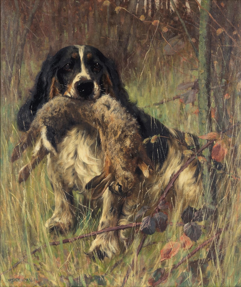 Portrait of a spaniel having retrieved a rabbit by Arthur Wardle