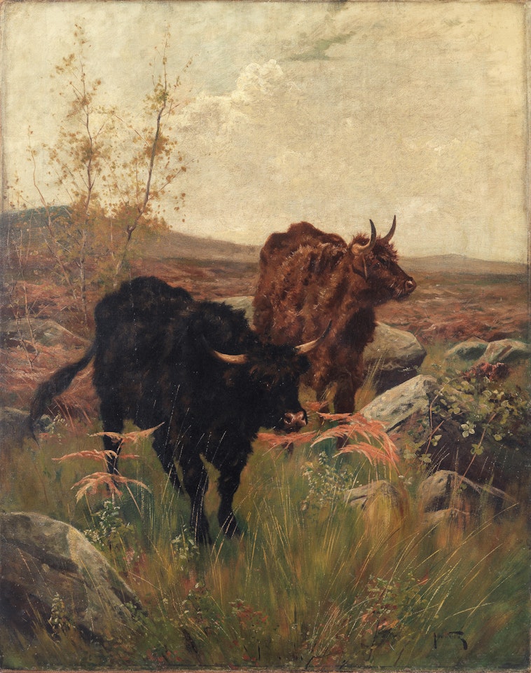 Highland cattle by Arthur Wardle
