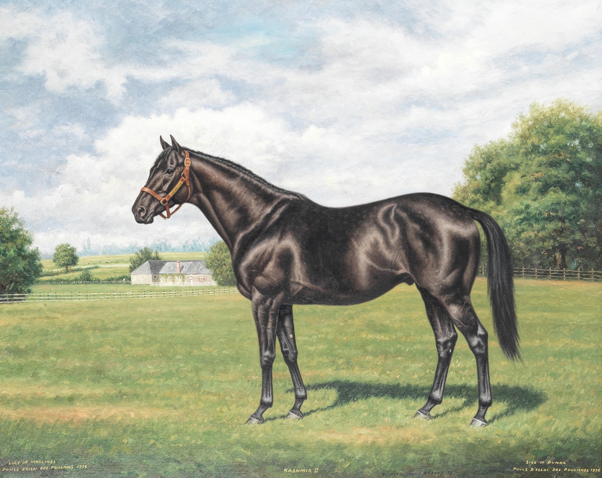 "Kashmir II at Haras Des Vignes, Evron, France" by Richard Stone Reeves