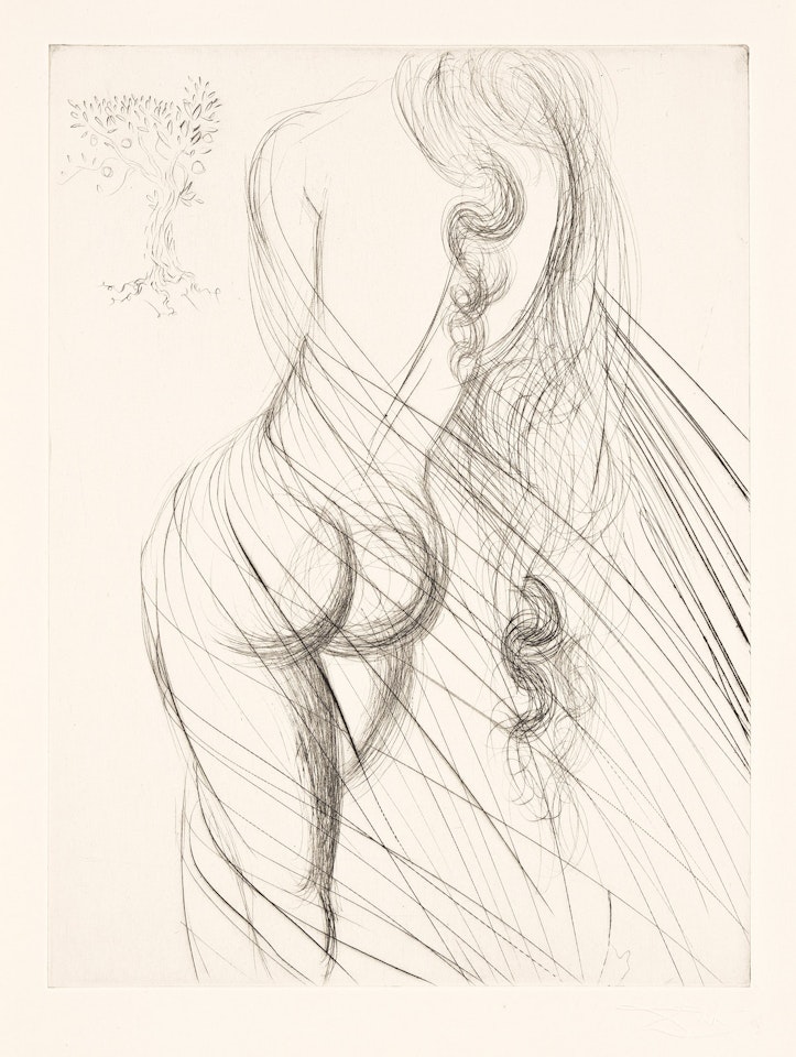 Les Amours de Cassandre by Salvador Dali