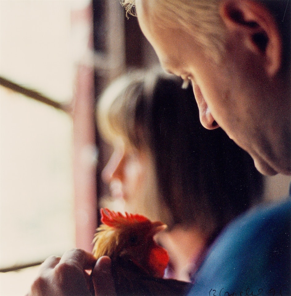 Untitled by Rosemarie Trockel