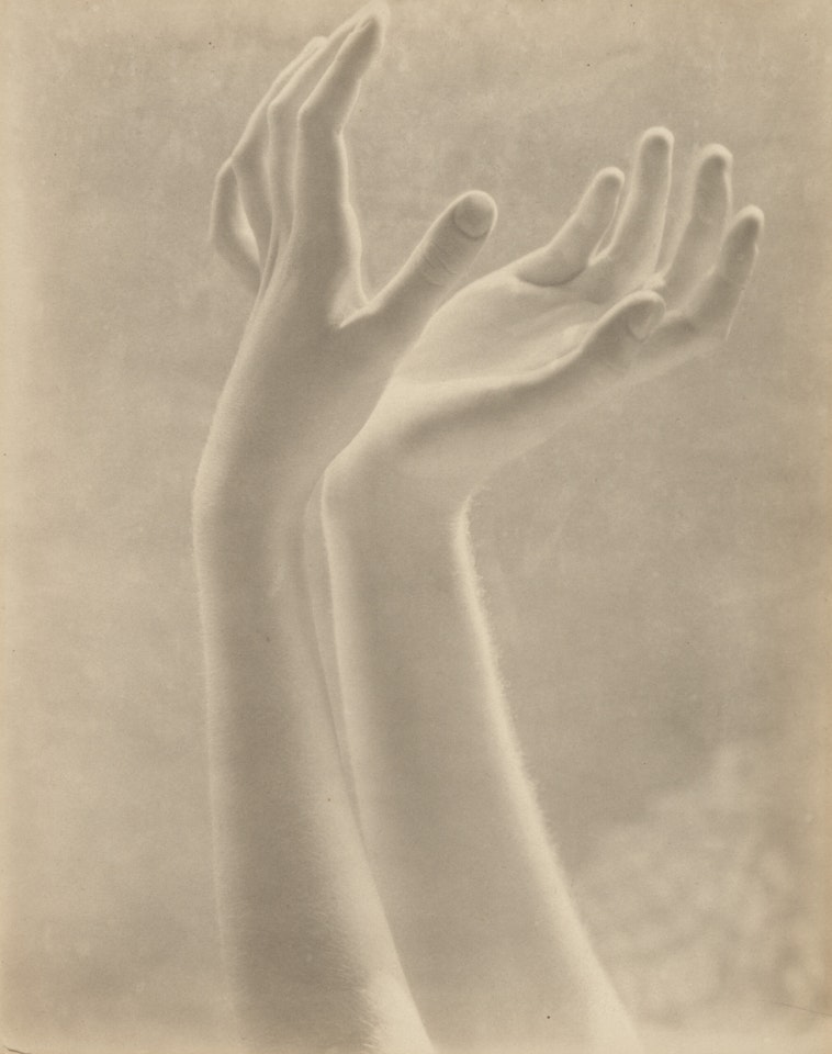 Blossom of White Fingers (Dana Steichen's Hands), c. by Edward Steichen