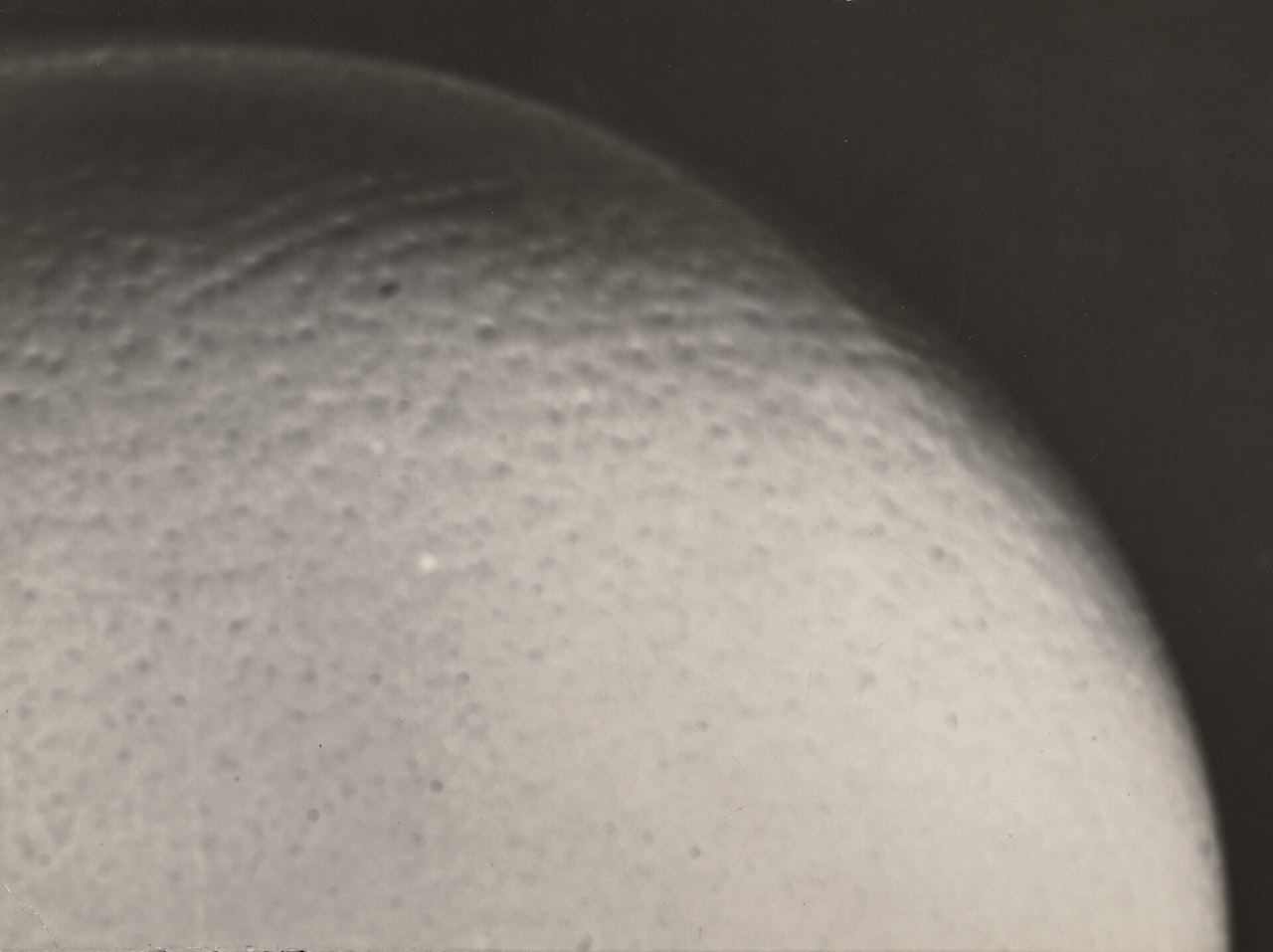 Ostrich Egg by Man Ray