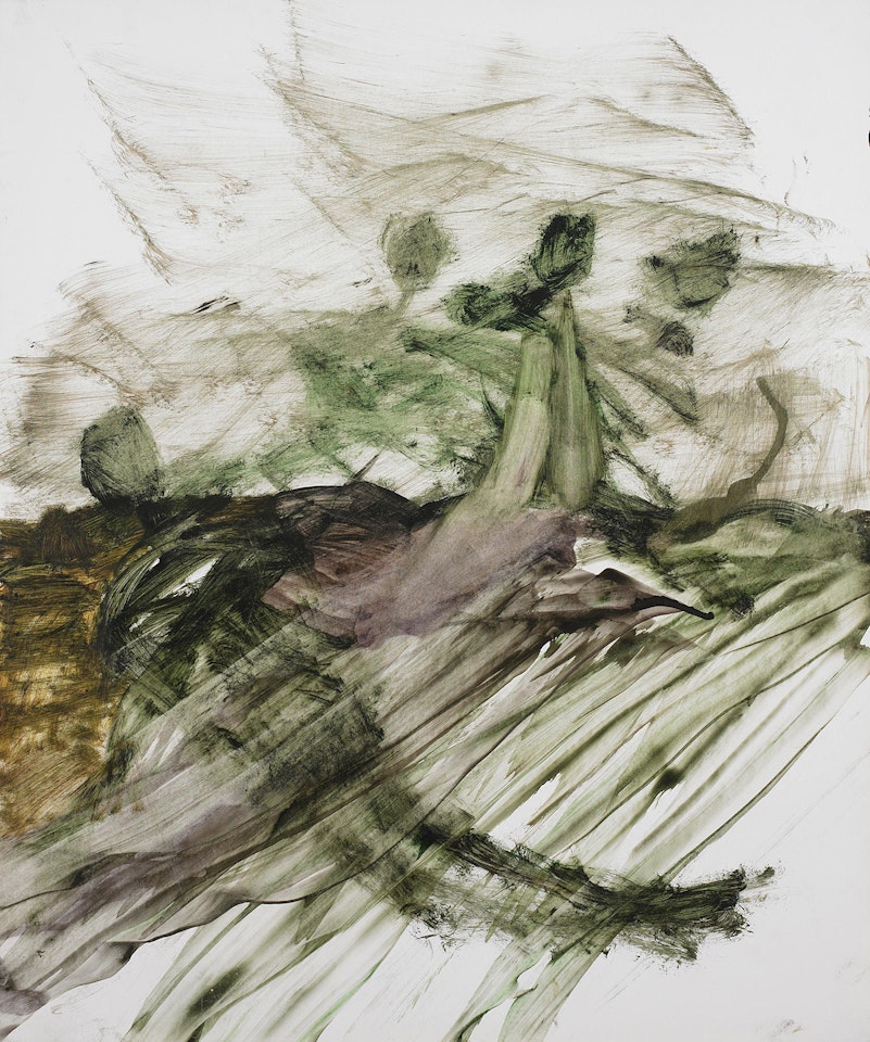 Leda and the Swan by Sidney Nolan