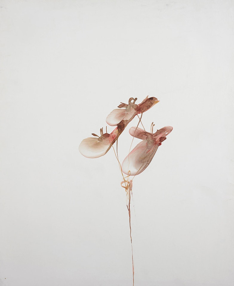 Flowers by Sidney Nolan