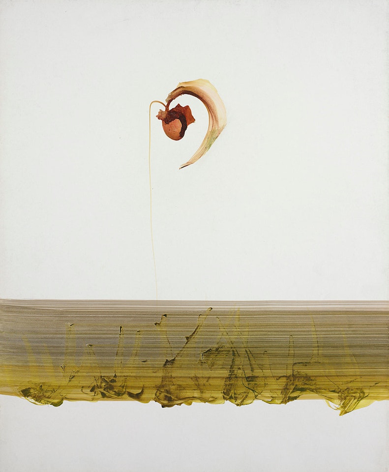 Flower and Landscape by Sidney Nolan
