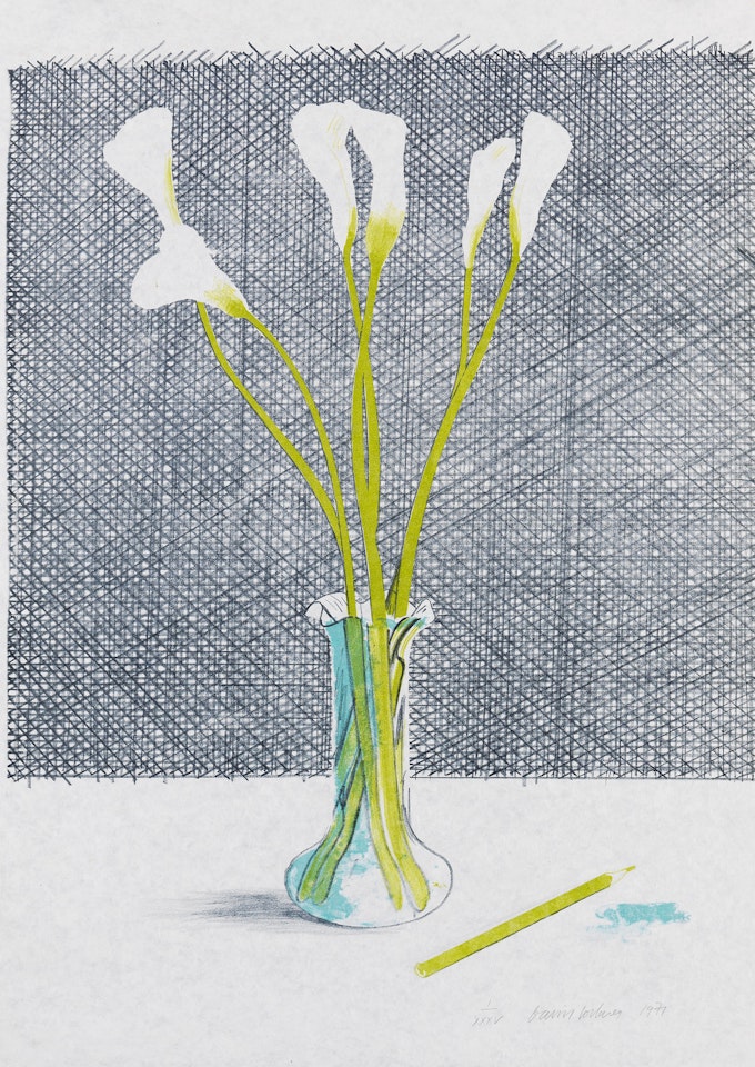 Lillies by David Hockney